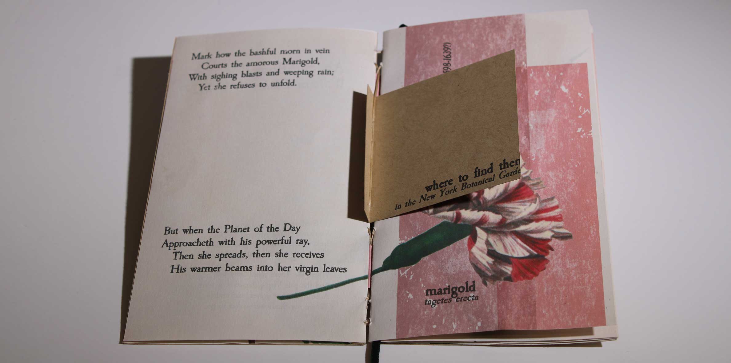 Typography Triptych full poster