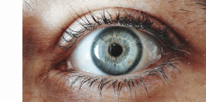 Typography Triptych full poster