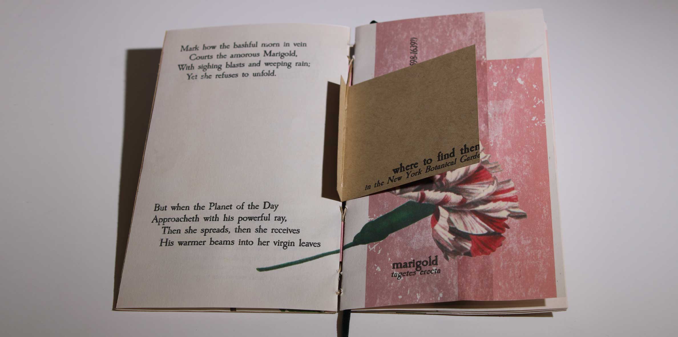 Typography Triptych full poster