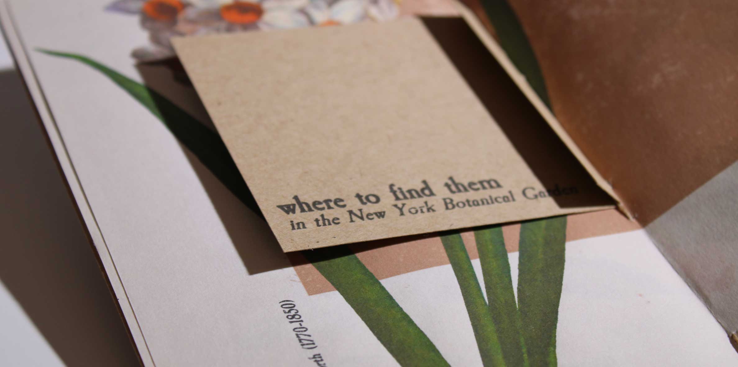 Typography Triptych full poster