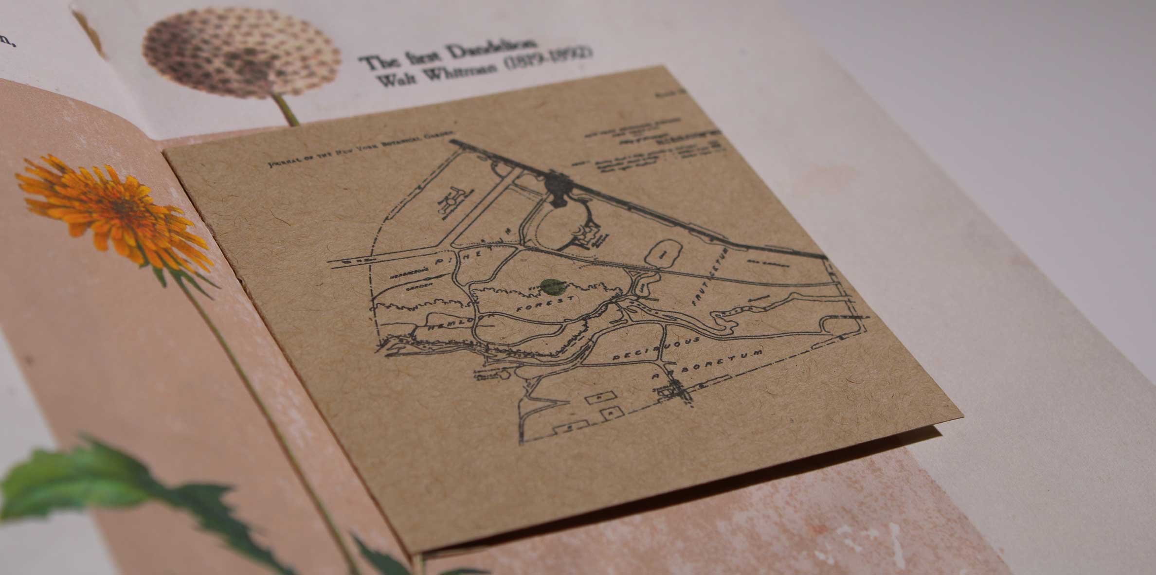 Typography Triptych full poster